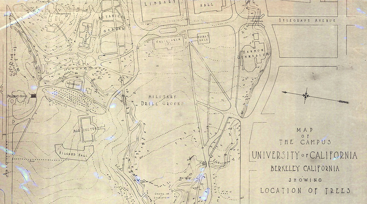 a black and white map marking trees on campus